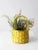 Vintage Yellow Wicker Handle Basket For Sale - Image 4 of 12