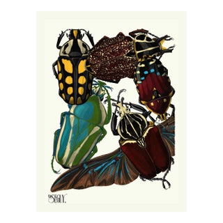 Insects Plate 03 by Emile-Allain Séguy, Vintage Art Print Reproduction, 18" × 24" For Sale