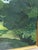Swedish Artist, Evening in the Archipelago, 1964, Oil on Canvas, Framed For Sale - Image 9 of 18