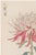 A refined example of late 19th-century Japanese botanical illustration, this vintage art print reproduction features...