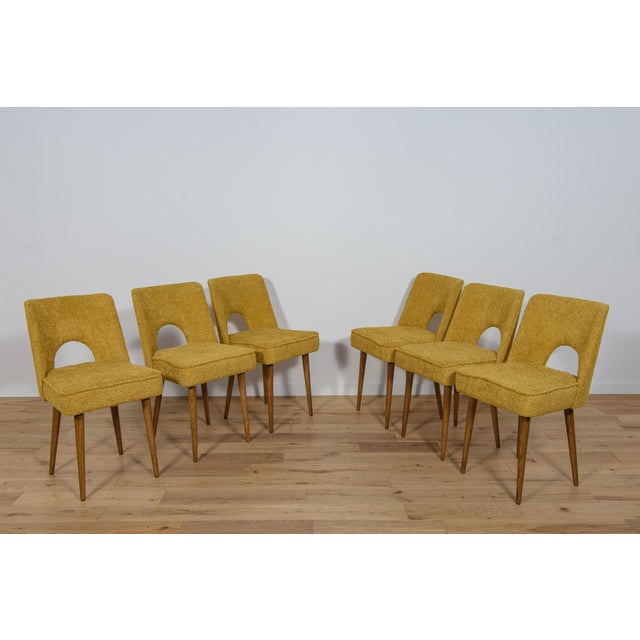 Mid-Century Modern Set of Polish Shell Chairs from Bydgoszcz Furniture Factory, 1960s For Sale - Image 3 of 18