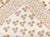 Cream Traditional Inspired Rug by Doris Leslie Blau For Sale - Image 8 of 8