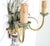 Metal 1960s Banci Firenze Fern Appliques / Sconces, a Pair . For Sale - Image 7 of 7