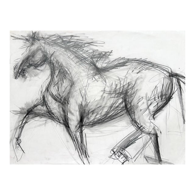 Horse Running, Drawing, Pencil on Paper 24 X 18 Inches For Sale
