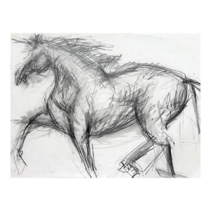 Horse Running, Drawing, Pencil on Paper 24 X 18 Inches