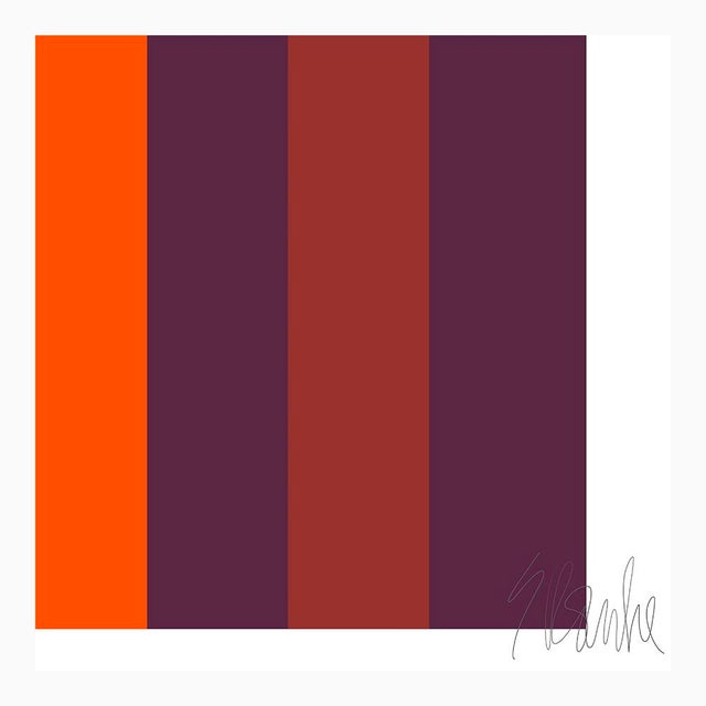 Orange Hooks Fine Art Prints 40"x50" by Liz Roache For Sale In Boston - Image 6 of 11