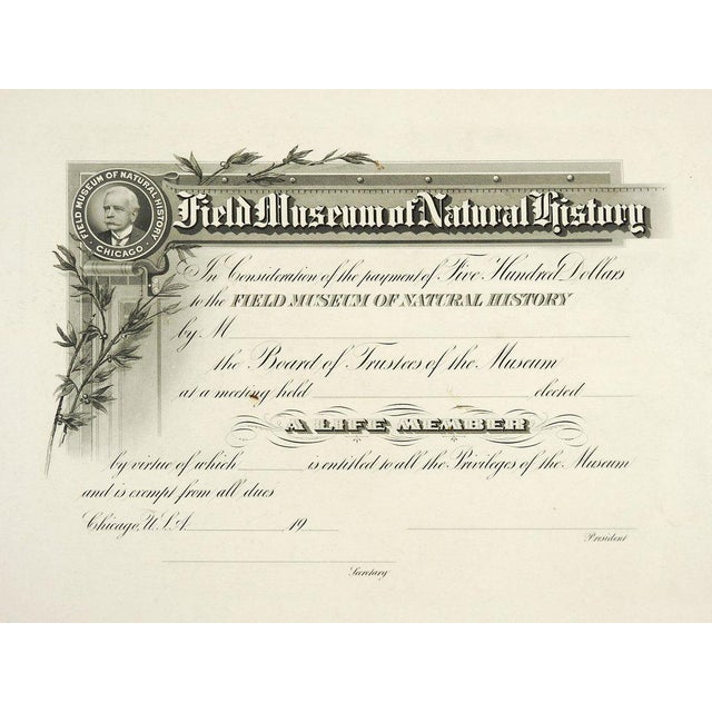 Field Museum of Natural History Antique Membership Certificate Chairish