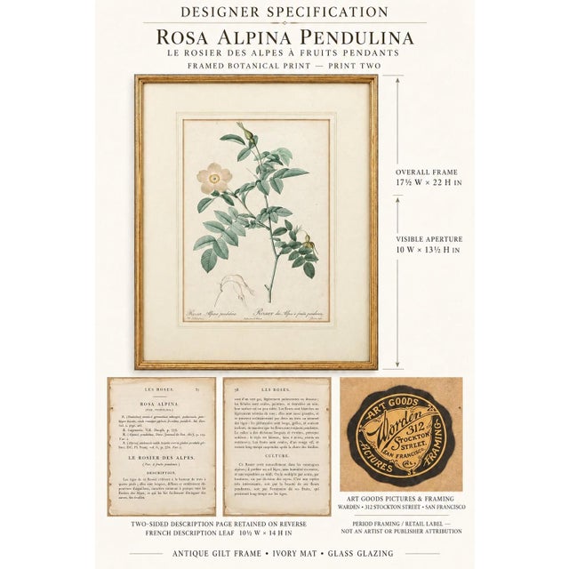 An exceptional coordinated pair of early 19th-century French botanical engravings depicting two varieties of the Alpine...