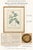 An exceptional coordinated pair of early 19th-century French botanical engravings depicting two varieties of the Alpine...