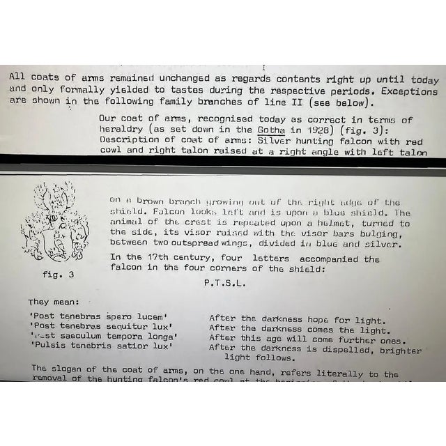 Antique Camphor Wooden Chest with Brass, 1784 For Sale - Image 4 of 13