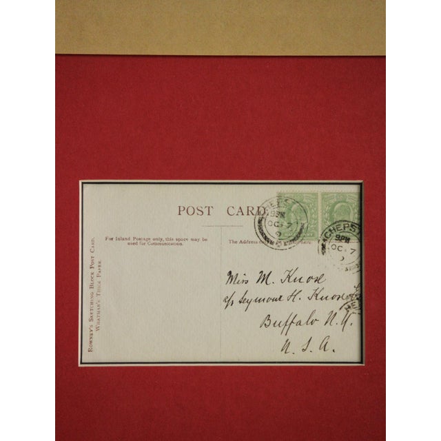 White 1910s Five Postcard Drawings For Sale - Image 8 of 12