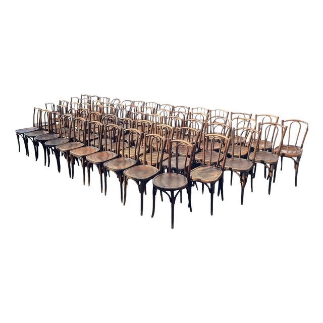 French Wood Bistro Chairs in the style of Thonet, France, 1940, Set of 60 For Sale