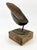 Wood Eli Ilan, 1965 Canadian Israeli Art Brutalist Abstract Welded Steel Sculpture Eli Ilan For Sale - Image 7 of 17