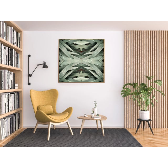 Modern "No. 113 Collage 2" Contemporary Original Op Art Botanical Limited Edition Photograph Print by Erin Derby For Sale - Image 3 of 4