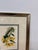 Early 21st Century Louis Van Houtte's Orchid Botanical Print, Framed For Sale - Image 5 of 12