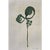 2020s 14.2" by 18.9" Set of 4 - Contemporary Dark Green Botanical Organic Modern Original Oil Paintings / Herbarium / Floral / Earth Tones For Sale - Image 5 of 8