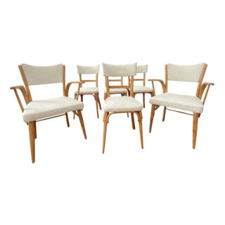 Birch Chairs with Bouclé Upholstery, 1960s, Set of 6 For Sale