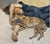 Contemporary Lucian Freud Double Portrait Official Exhibition Poster For Sale - Image 3 of 3