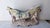 White Antique German Porcelain Figural Centerpiece Bowl, of Dresden or Von Schierholz Styles, Hand-Painted Putti For Sale - Image 8 of 15