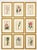 Illustration Botanical Set of 9 in Gold Leaf Gesso Mat by Curtis, 1842 (Framed) For Sale - Image 3 of 14