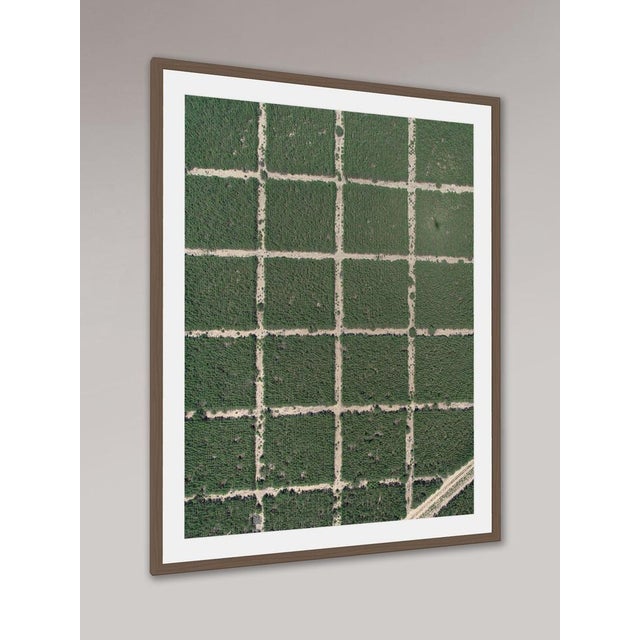 Edition Aerial Views Bernhard Lang Image: AV_Forests_in_Formation_002 Size C: 26,5 x 35,4 inches (67,5 x 90 cm) No 1 of 7,...
