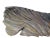 Natural Wood Table Top Sculpture or Wall Art For Sale - Image 9 of 10