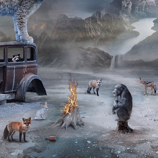 Twilight by Marcin Owczarek | Photography on Fine Art Hahnemühle Epson Baryta Photo Rag 315 gr. Surreal landscape with animals and an old car. For Sale - Image 4 of 5
