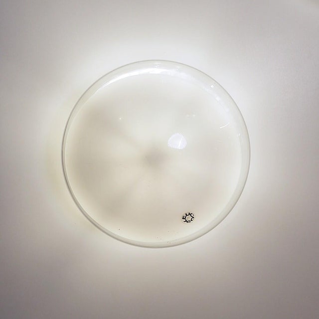 Gill Wall Lights Mounted on Panels by Roberto Pamio for Leucos, 1970s For Sale - Image 4 of 18