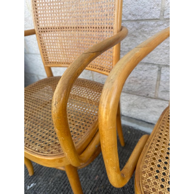 A Set of Four Mid Century Thonet Style Bentwood Prague Chairs Chairs For Sale - Image 10 of 11