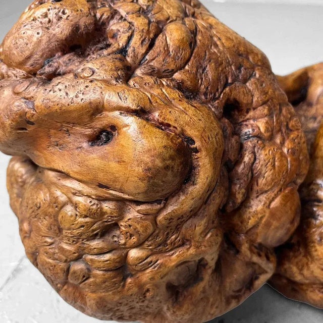 Japanese Meiji Wabi-Sabi Burl Wood Piece For Sale - Image 4 of 13