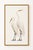 Contemporary Crane Study 2, Neutral Coastal Bird Art Print, 32" X 48" For Sale - Image 3 of 8
