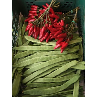 "Peppers and Beans, Lake Como, Italy" Contemporary Food Still Life Color Photograph by Nick Burchell For Sale