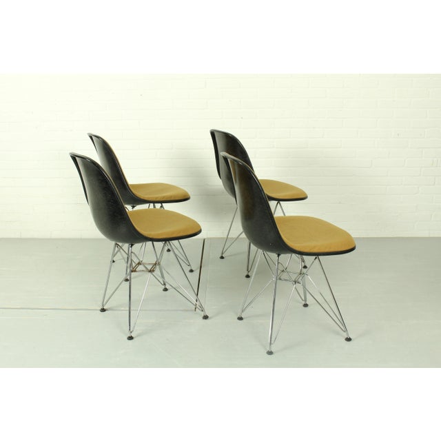 Yellow DSR Dining Chairs by Charles & Ray Eames for Herman Miller, 1960s, Set of 4 For Sale - Image 6 of 13