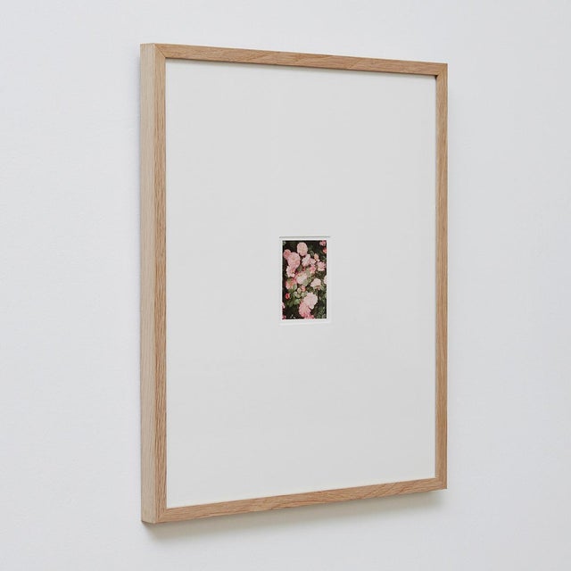 The Rose Garden Nº 34 Print by David Urbano, 2018 For Sale - Image 9 of 9