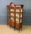 Wood Edwardian Kingwood and Walnut Display Cabinet, 1900s For Sale - Image 7 of 13