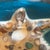 Coastal Charming Starfish-Shaped Coastal Decor Tray With Real Mixed Seashells For Sale - Image 3 of 7