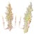 1960s Syroco Double Wall Sconces For Sale