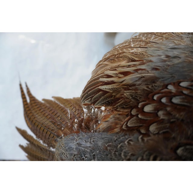 Textile Taxidermy Pheasant in Mid Flight For Sale - Image 7 of 14