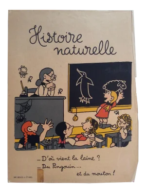 French Bedos Et Cie Paris "Histoire Naturelle" Educating Children