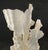 Authentic Natural Coral Speciman For Sale - Image 4 of 5