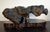 Dark Gray Large Chinese Crouching Beast Gongshi For Sale - Image 8 of 14