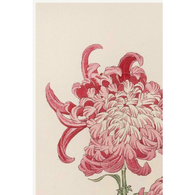 A refined example of late 19th-century Japanese botanical illustration, this vintage art print reproduction features Pink...
