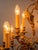 Antique Chandelier with Fifteen Bulbs For Sale - Image 16 of 18