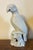 Antique 18th century Chinese blanc de Chine white porcelain figure of a parrot perched atop rock work. Exceptional quality...