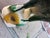 1960s Chinese Parrot Roof Finials, Pair For Sale - Image 4 of 4