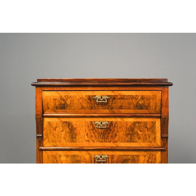 Tall Antique Gründerzeit Chest of Drawers, Late 19th Century For Sale - Image 10 of 18