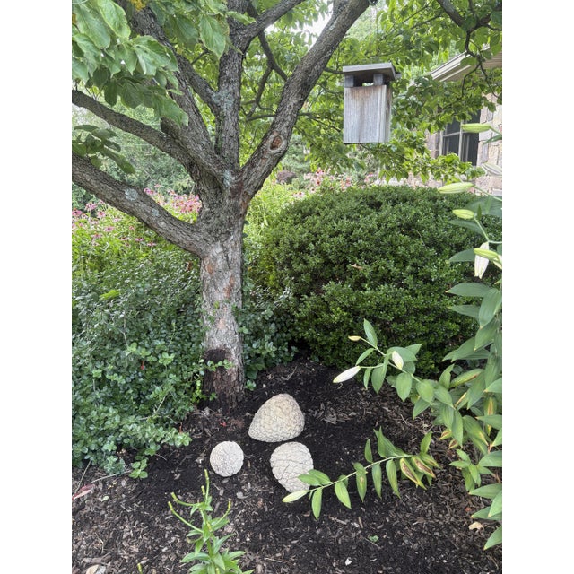 A sculptural trio of cast concrete pinecones, made with a sandy aggregate mix that gives them an unusually natural, stone-...