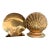 Vintage Brass Sea Shell Bookends, a Pair — Hollywood Regency Coastal Decor For Sale