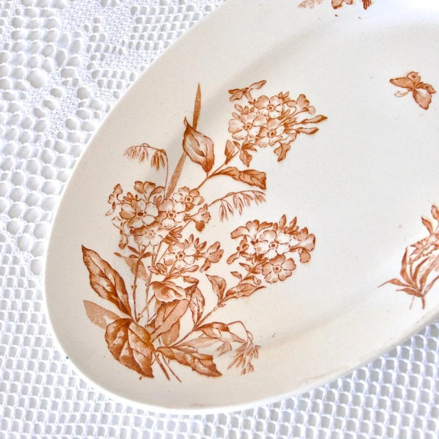 19th Century Longwy Oval Dish Sepia Iron Earth Botanical Bird, 1890s For Sale - Image 4 of 10