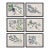 Berry Branch Botanical Study, Set Of 6 For Sale